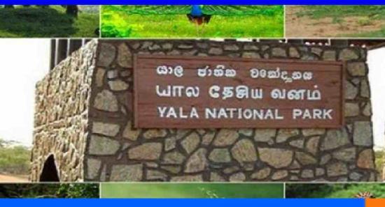 மூடப்படும் யால தேசிய பூங்கா...